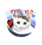 Lovely Cats +1 in The Blog 2（個別スタンプ：21）