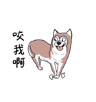funny Husky DOG（個別スタンプ：2）
