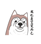 funny Husky DOG（個別スタンプ：8）