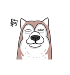 funny Husky DOG（個別スタンプ：9）