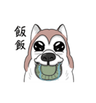 funny Husky DOG（個別スタンプ：10）