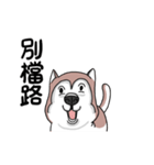 funny Husky DOG（個別スタンプ：23）
