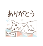 猫大好き【あきちゃん】北欧風名前スタンプ（個別スタンプ：10）