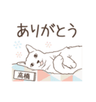 猫大好き【高橋】北欧風名前スタンプ（個別スタンプ：10）