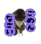 うちのちっちゃいの（個別スタンプ：7）