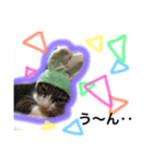 うちのちっちゃいの（個別スタンプ：8）
