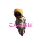 食べたら磨く（個別スタンプ：7）