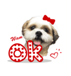 【シーズー犬】の日常会話パート1（個別スタンプ：3）