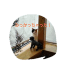 cat teacher.（個別スタンプ：7）