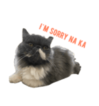The Three Little Cats (part1)（個別スタンプ：4）