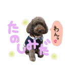 りん＆しん（個別スタンプ：14）