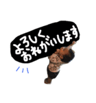 りん＆しん（個別スタンプ：21）
