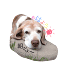 ちょこちっぷ（個別スタンプ：1）