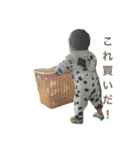 アオしゃんのスタンプ（個別スタンプ：2）