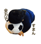 アオしゃんのスタンプ（個別スタンプ：28）
