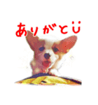 うちのかんすけ（個別スタンプ：3）