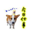 うちのかんすけ（個別スタンプ：21）