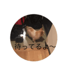 キンちゃん2（個別スタンプ：8）