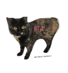 kumaco2018（個別スタンプ：4）