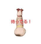 ゆずの日常2～ジャックラッセルテリア～（個別スタンプ：7）