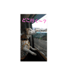 ゆずの日常2～ジャックラッセルテリア～（個別スタンプ：15）