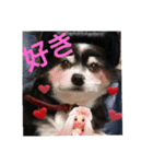 チャッピーお試し（個別スタンプ：6）