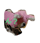 チャッピーお試し（個別スタンプ：7）