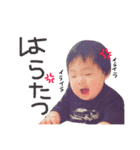 しらすブラザーズ（個別スタンプ：12）