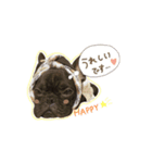 UGGfrenchbulldog1（個別スタンプ：3）