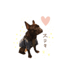 UGGfrenchbulldog1（個別スタンプ：4）