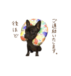 UGGfrenchbulldog1（個別スタンプ：6）