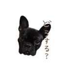 UGGfrenchbulldog1（個別スタンプ：10）