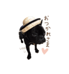 UGGfrenchbulldog1（個別スタンプ：16）