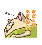 いぬカメラとねこカメラ（個別スタンプ：7）