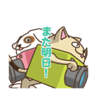 いぬカメラとねこカメラ（個別スタンプ：11）