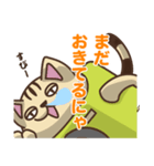 いぬカメラとねこカメラ（個別スタンプ：12）