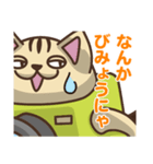 いぬカメラとねこカメラ（個別スタンプ：13）