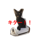 にゃーもんず（個別スタンプ：1）