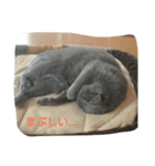 muu-（個別スタンプ：2）