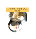 モコすたいる（個別スタンプ：4）