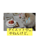 モコすたいる（個別スタンプ：5）