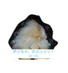 モコすたいる（個別スタンプ：7）