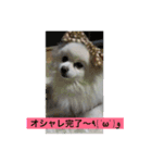 モコすたいる（個別スタンプ：8）