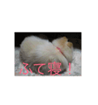モコすたいる（個別スタンプ：9）