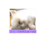 モコすたいる（個別スタンプ：10）