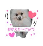 モコすたいる（個別スタンプ：15）