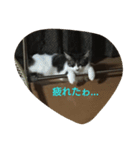 RIN KUN（個別スタンプ：4）