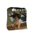 RIN KUN（個別スタンプ：8）