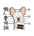 Dumb Dogs（個別スタンプ：24）