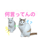 はまちとぽんずの日常2（個別スタンプ：1）